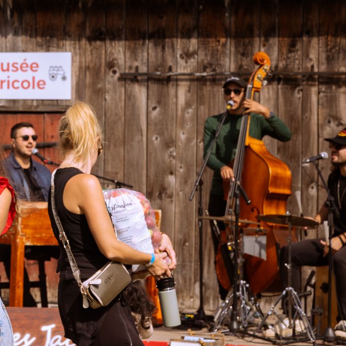 domaine-lafrance-audio-visuel-01